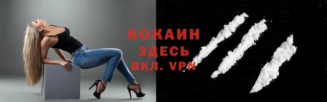 скорость Кинешма