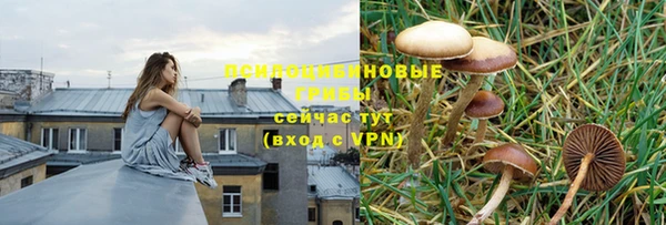 spice Киренск